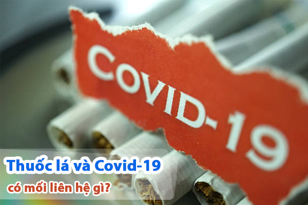 Thuốc lá và Covid-19 có mối liên hệ gì?